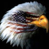 eagleyes2643